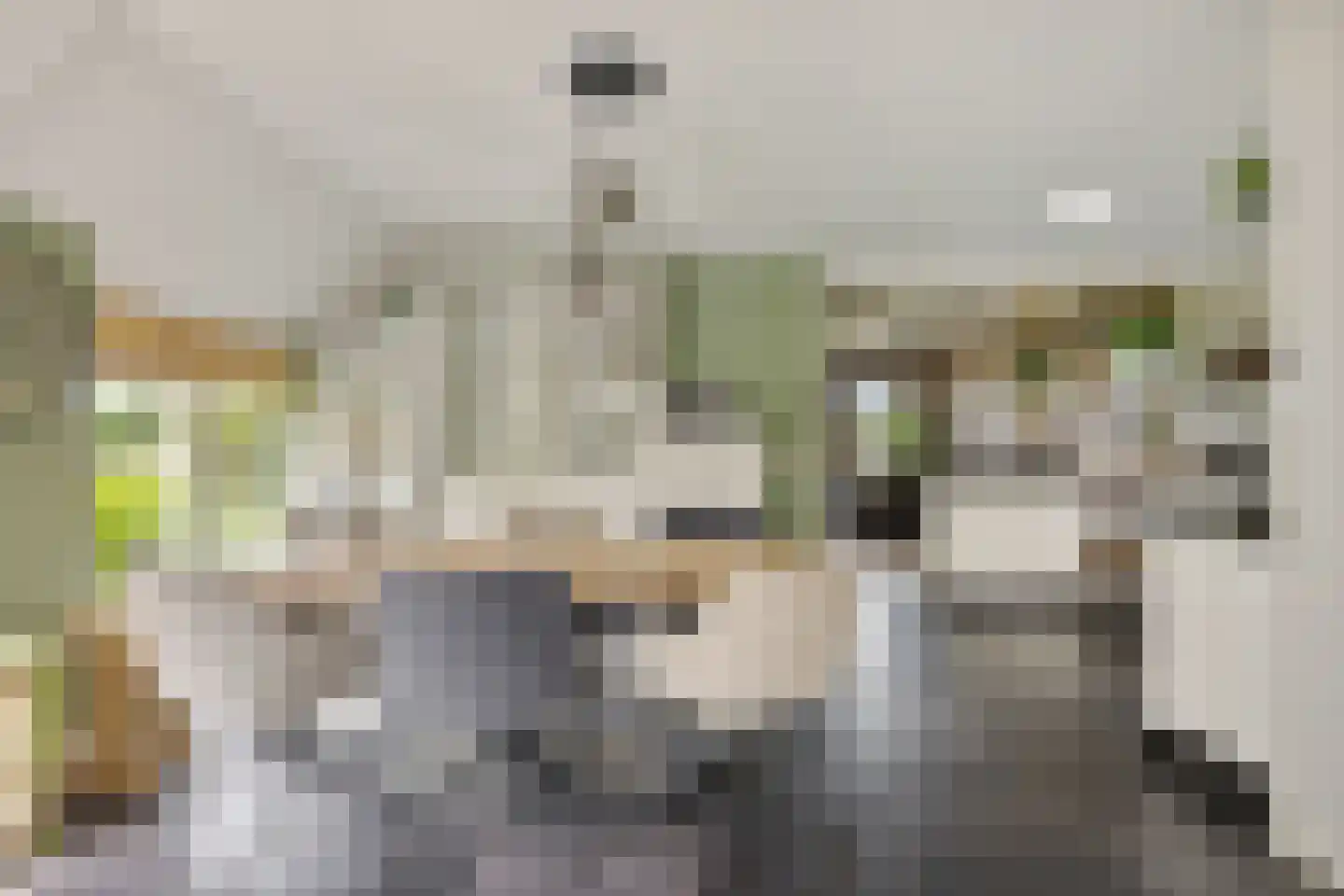 Odoornerstraat 27 Ees thumbnail 19