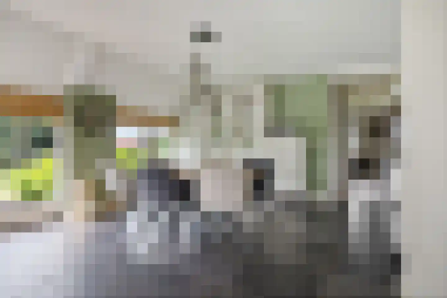 Odoornerstraat 27 Ees thumbnail 20