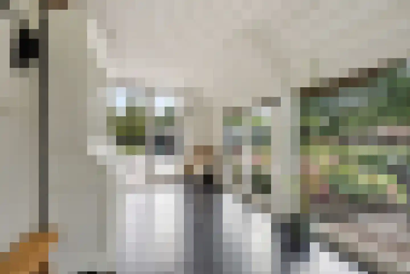 Odoornerstraat 27 Ees thumbnail 21