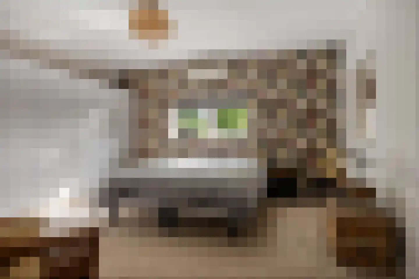 Odoornerstraat 27 Ees thumbnail 24