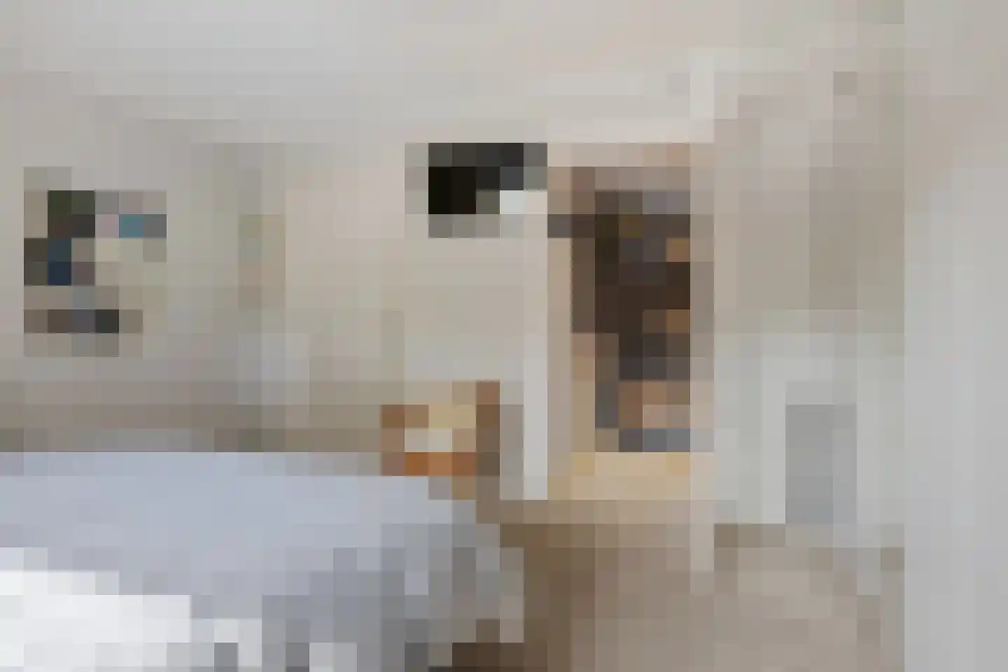 Odoornerstraat 27 Ees thumbnail 26