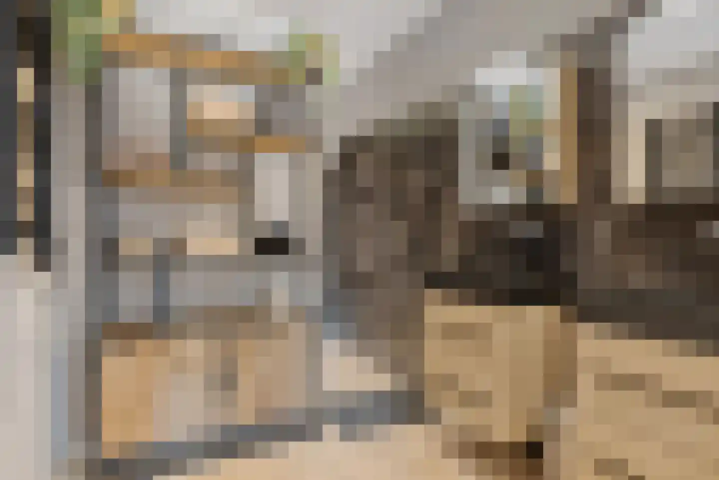Odoornerstraat 27 Ees thumbnail 27