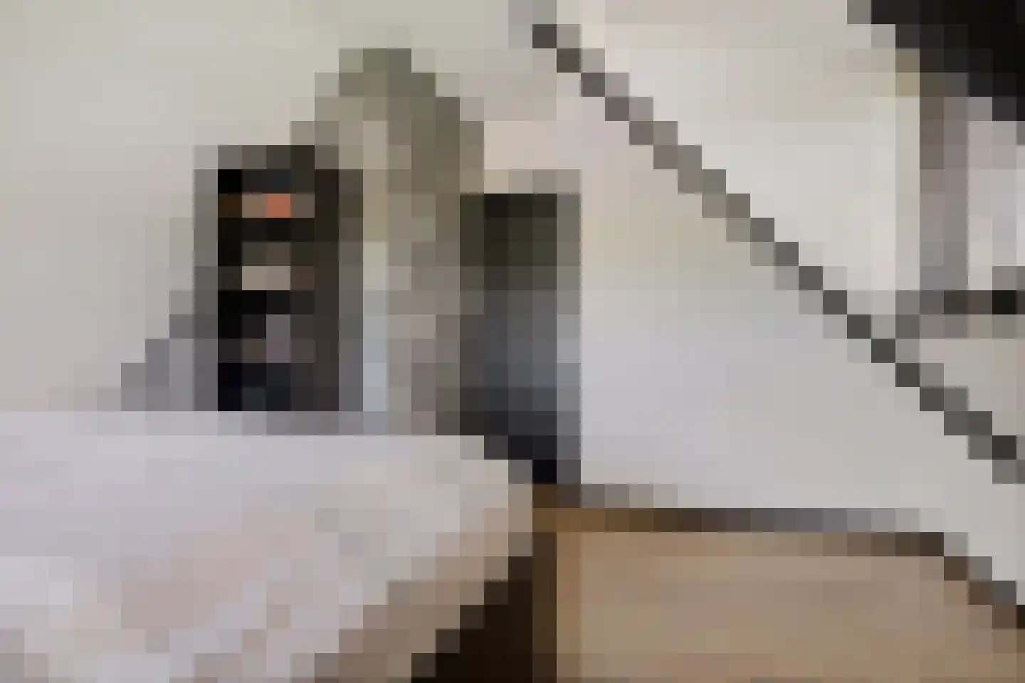 Odoornerstraat 27 Ees thumbnail 33