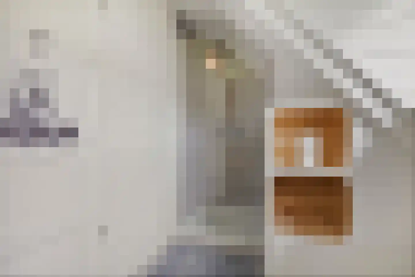 Odoornerstraat 27 Ees thumbnail 34