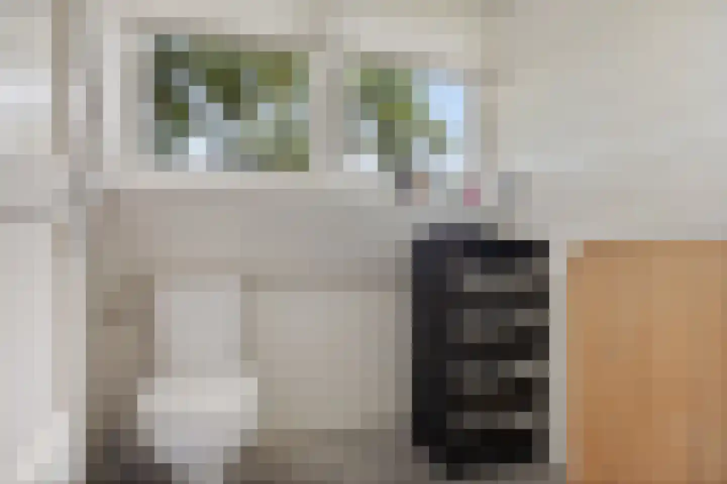 Odoornerstraat 27 Ees thumbnail 35