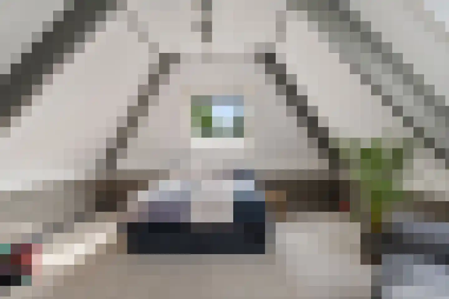 Odoornerstraat 27 Ees thumbnail 39