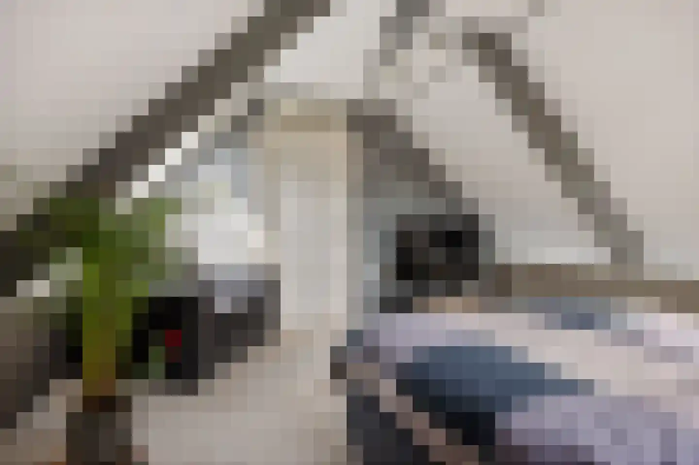 Odoornerstraat 27 Ees thumbnail 40