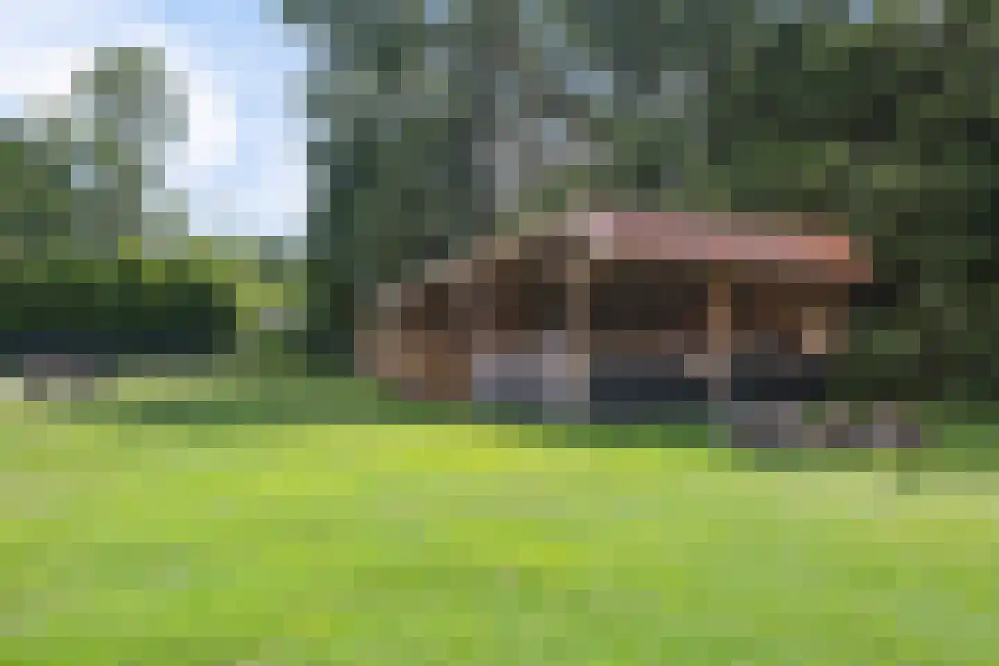 Odoornerstraat 27 Ees thumbnail 48