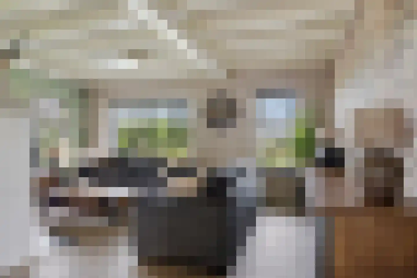 Odoornerstraat 27 Ees thumbnail 8