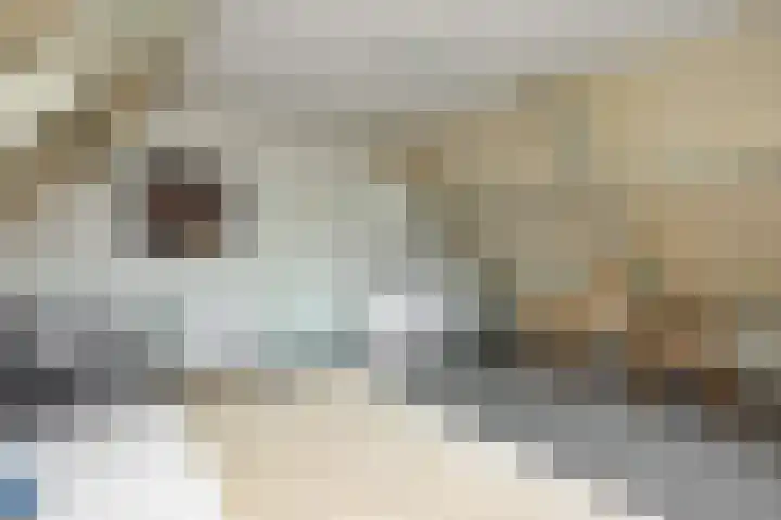 Odoornerweg 2 Valthe thumbnail 11
