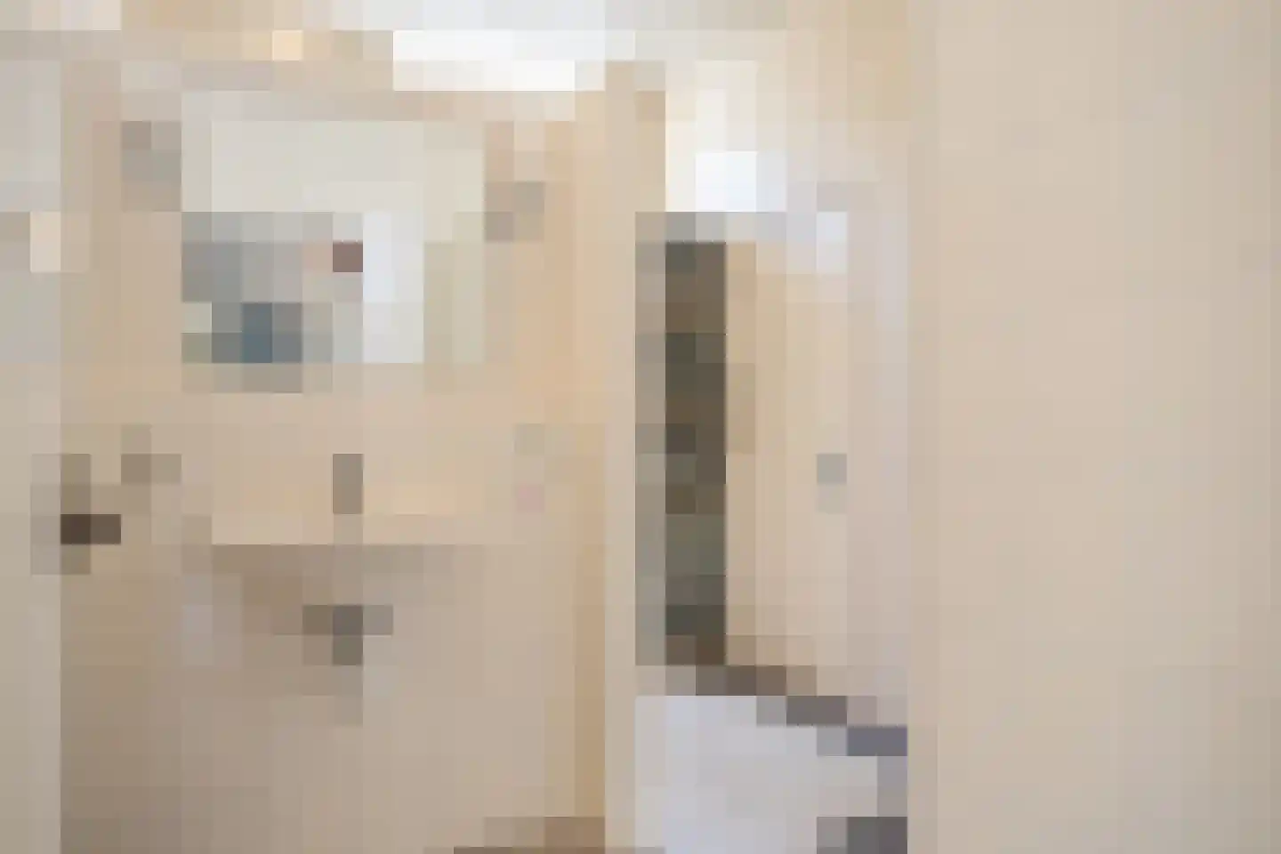 Odoornerweg 2 Valthe thumbnail 24