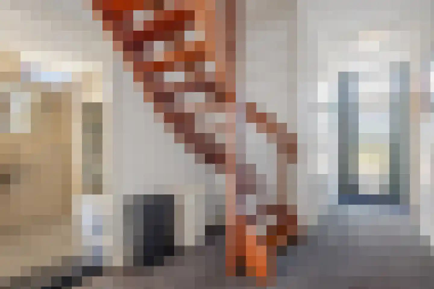 Odoornerweg 2 Valthe thumbnail 29