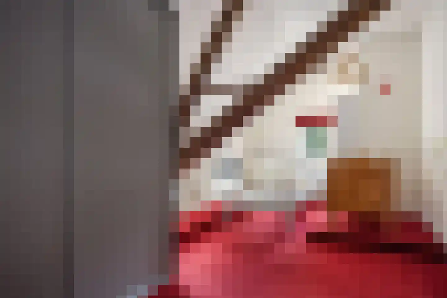 Odoornerweg 2 Valthe thumbnail 32