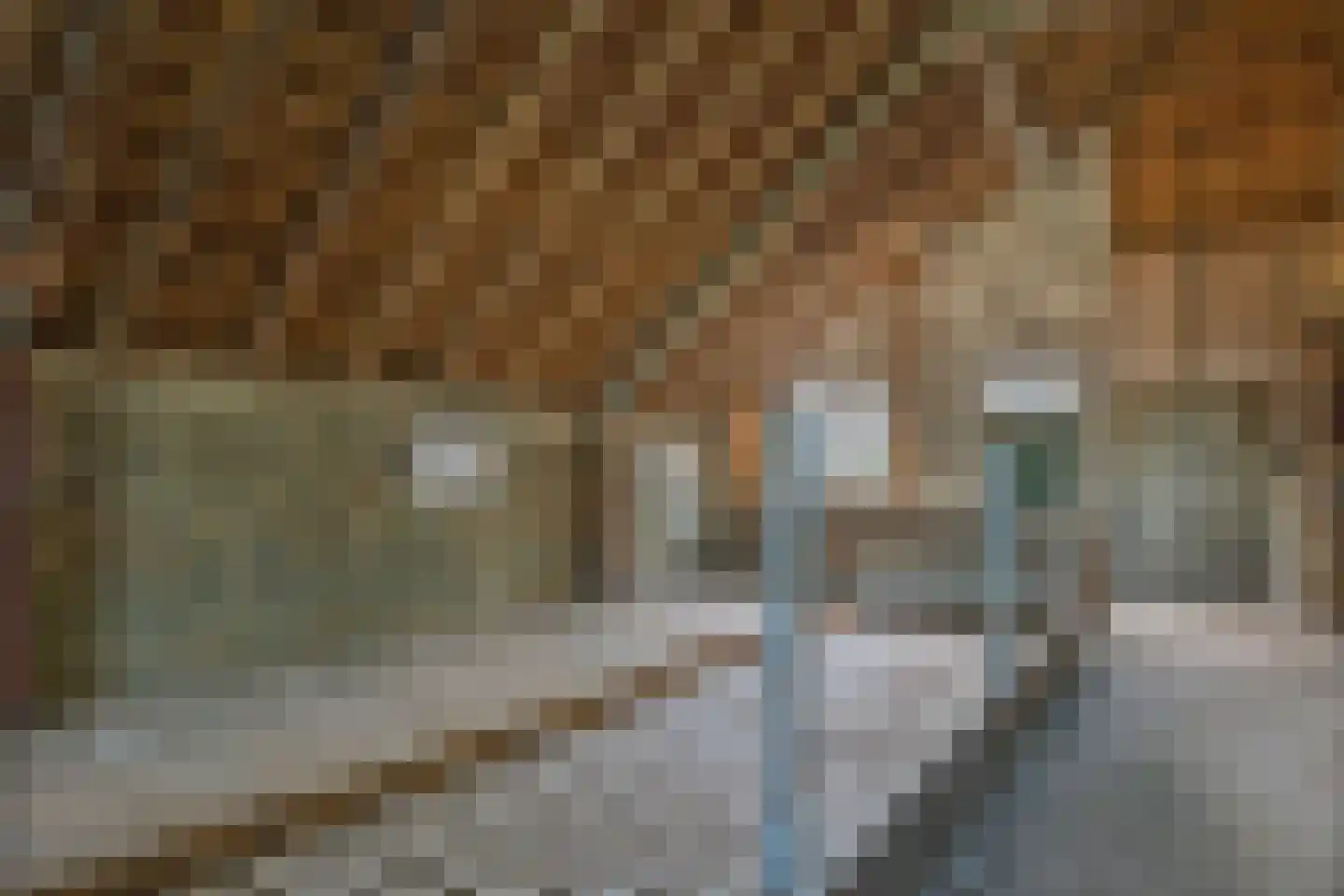 Odoornerweg 2 Valthe thumbnail 40