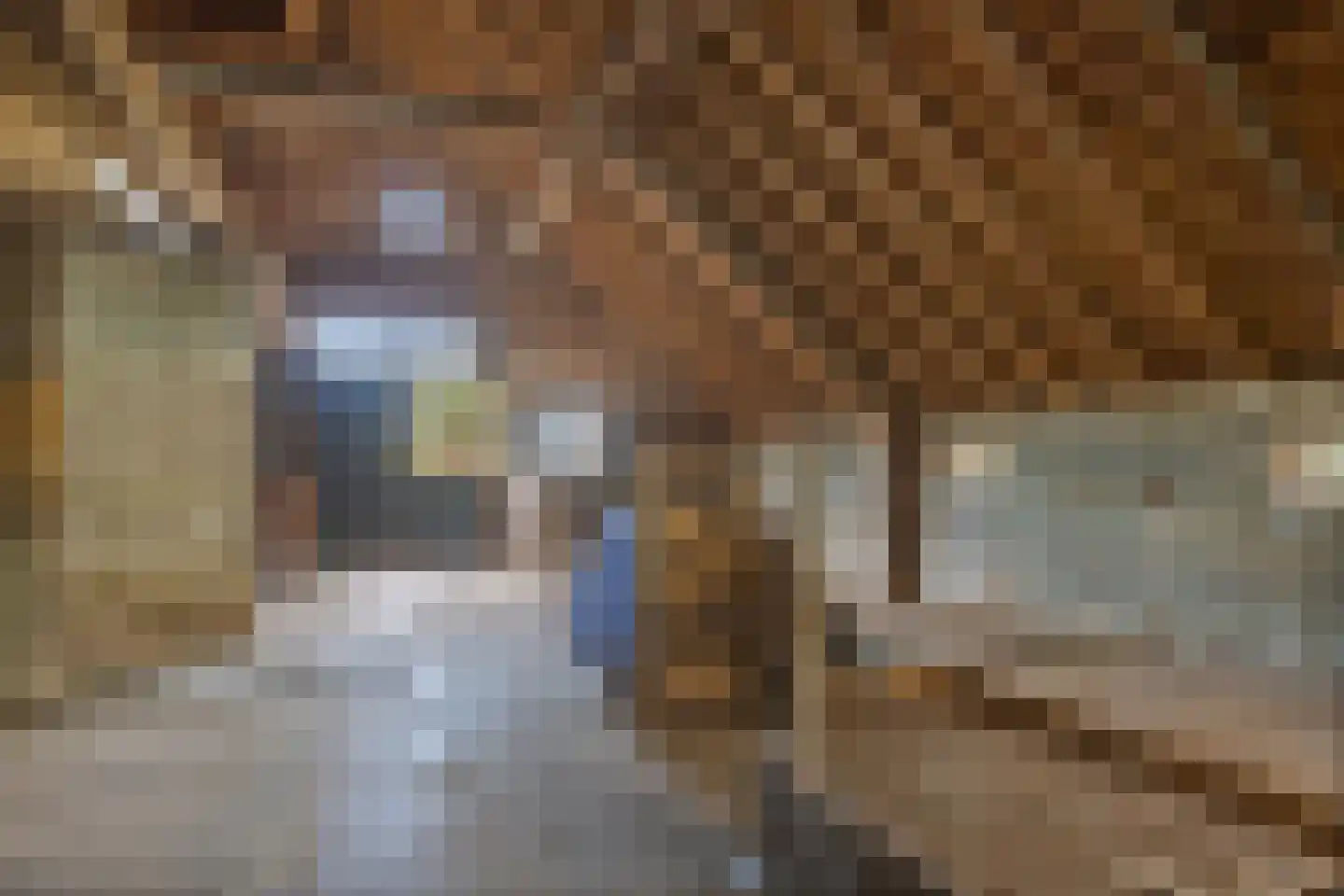 Odoornerweg 2 Valthe thumbnail 41