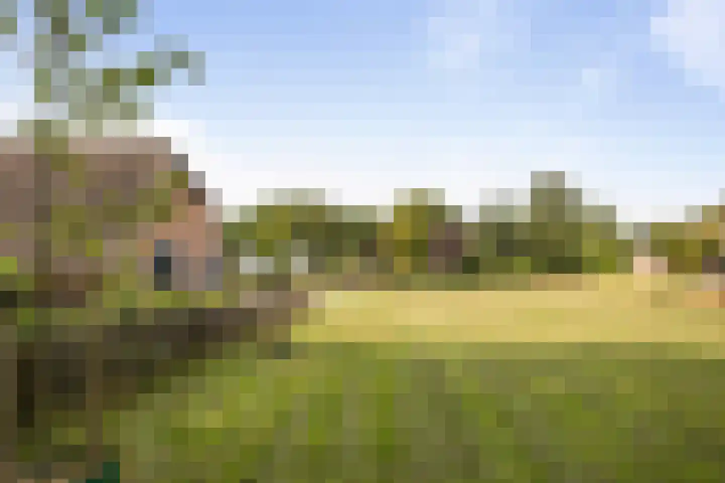 Odoornerweg 2 Valthe thumbnail 47