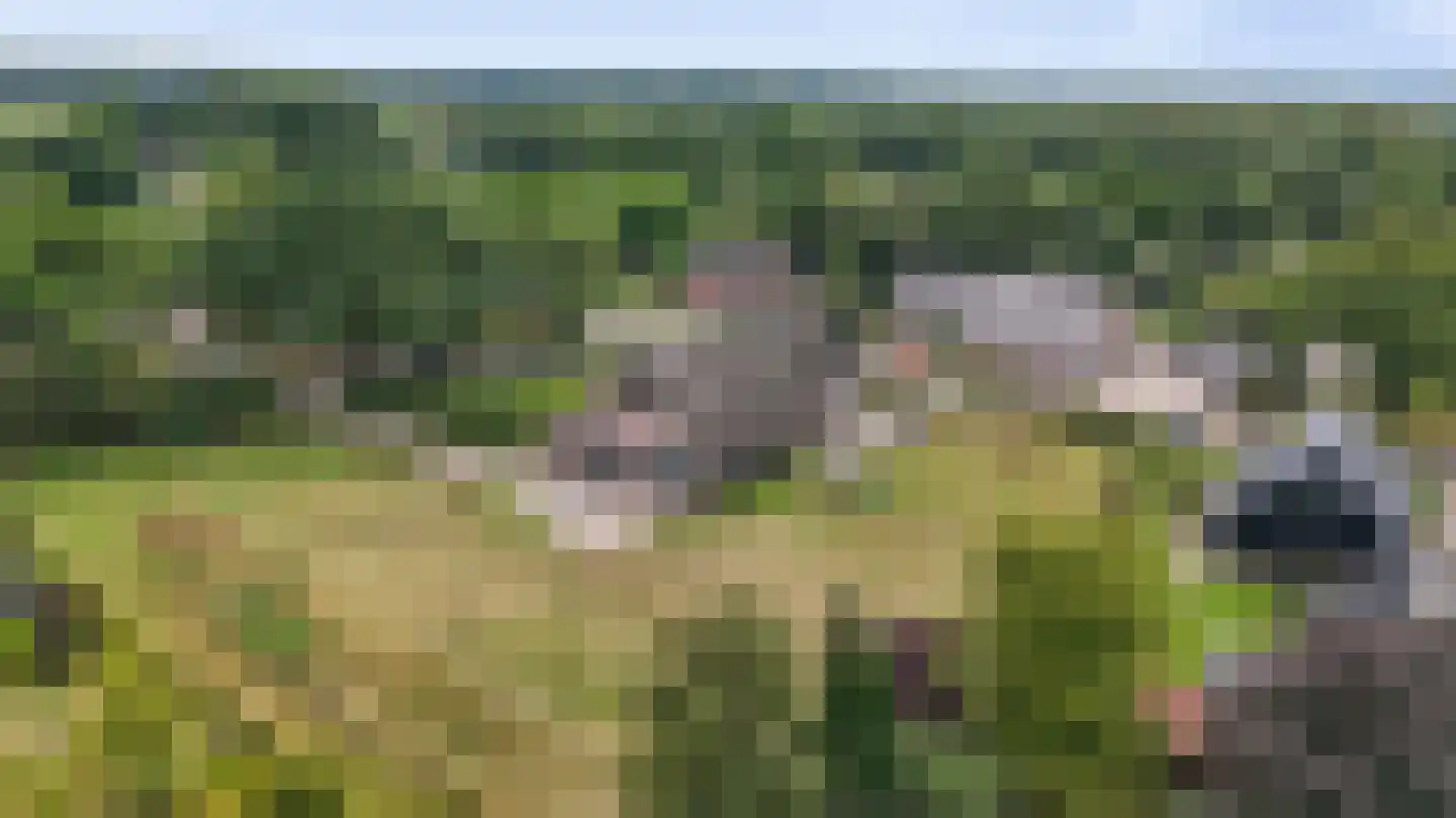 Odoornerweg 2 Valthe thumbnail 48