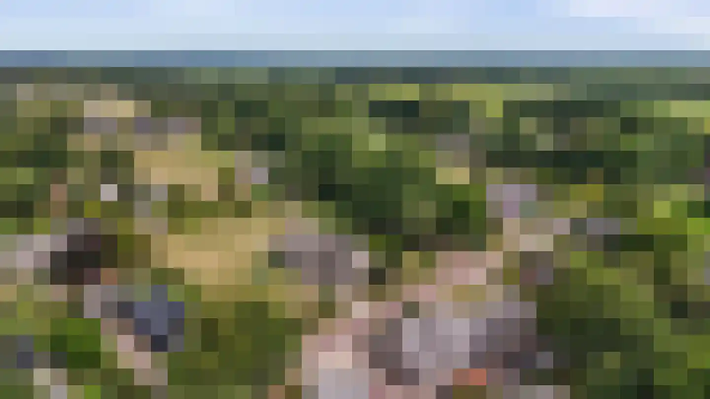 Odoornerweg 2 Valthe thumbnail 49