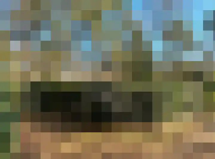 Odoornerweg 2 Valthe thumbnail 53