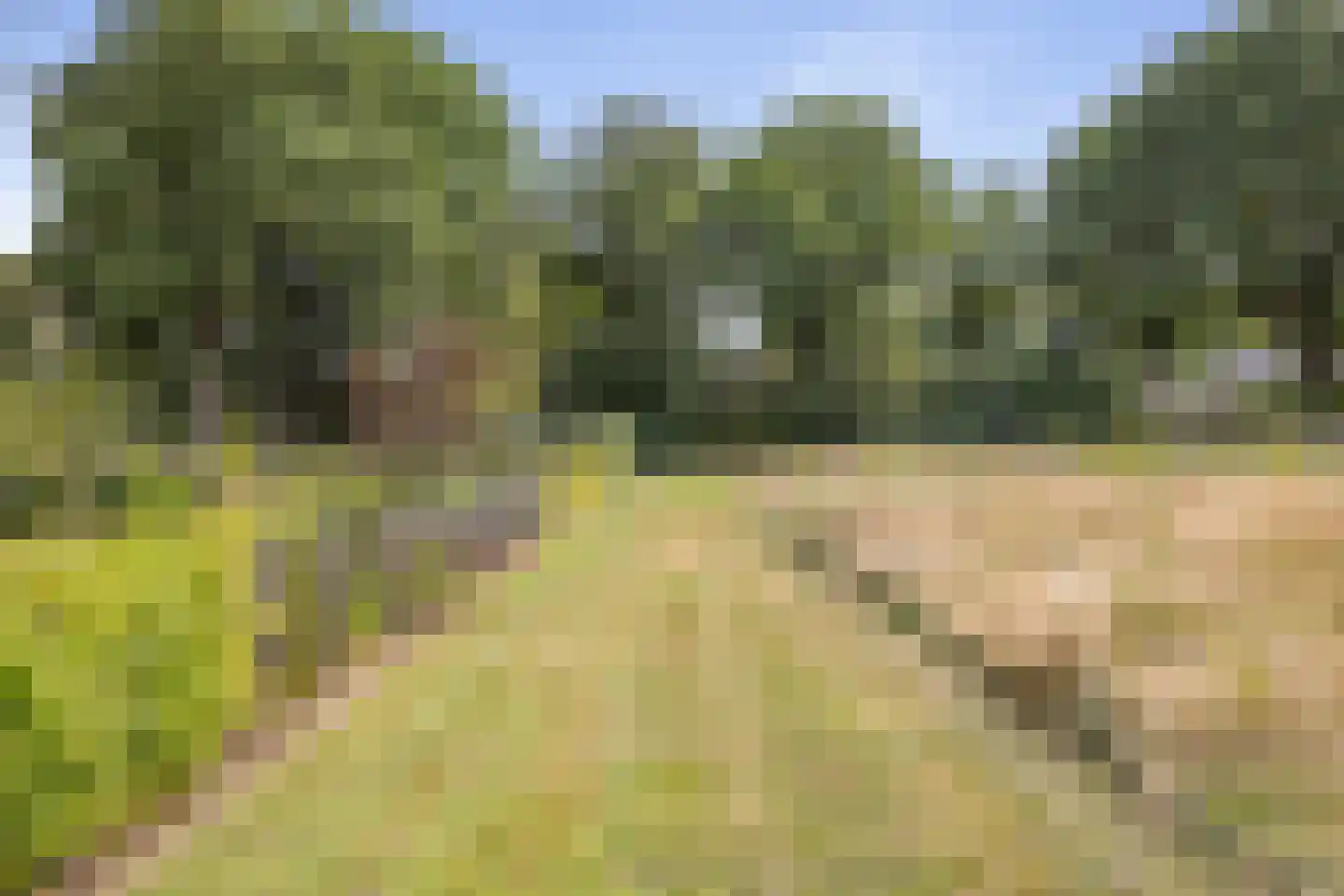 Odoornerweg 2 Valthe thumbnail 59