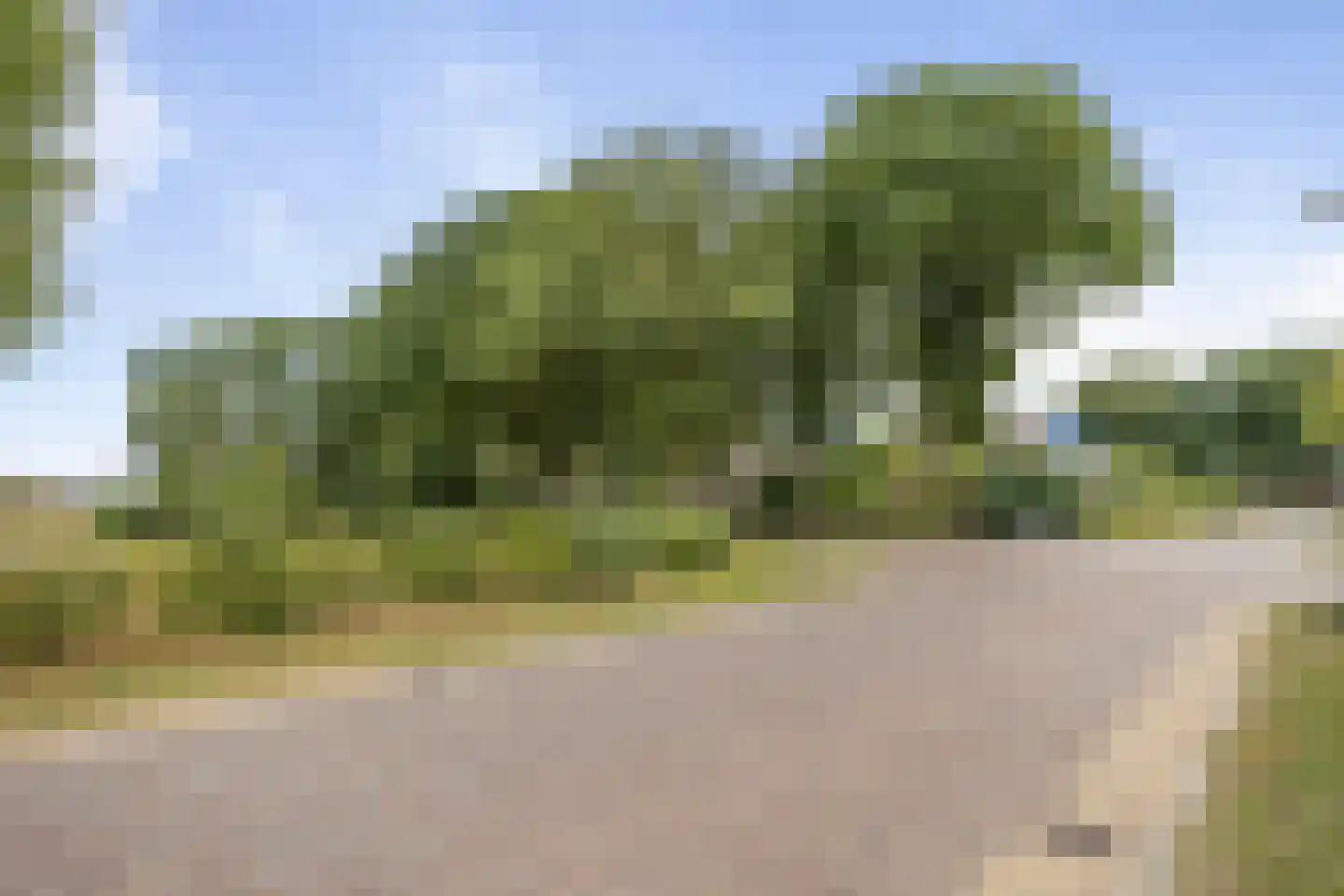 Odoornerweg 2 Valthe thumbnail 64