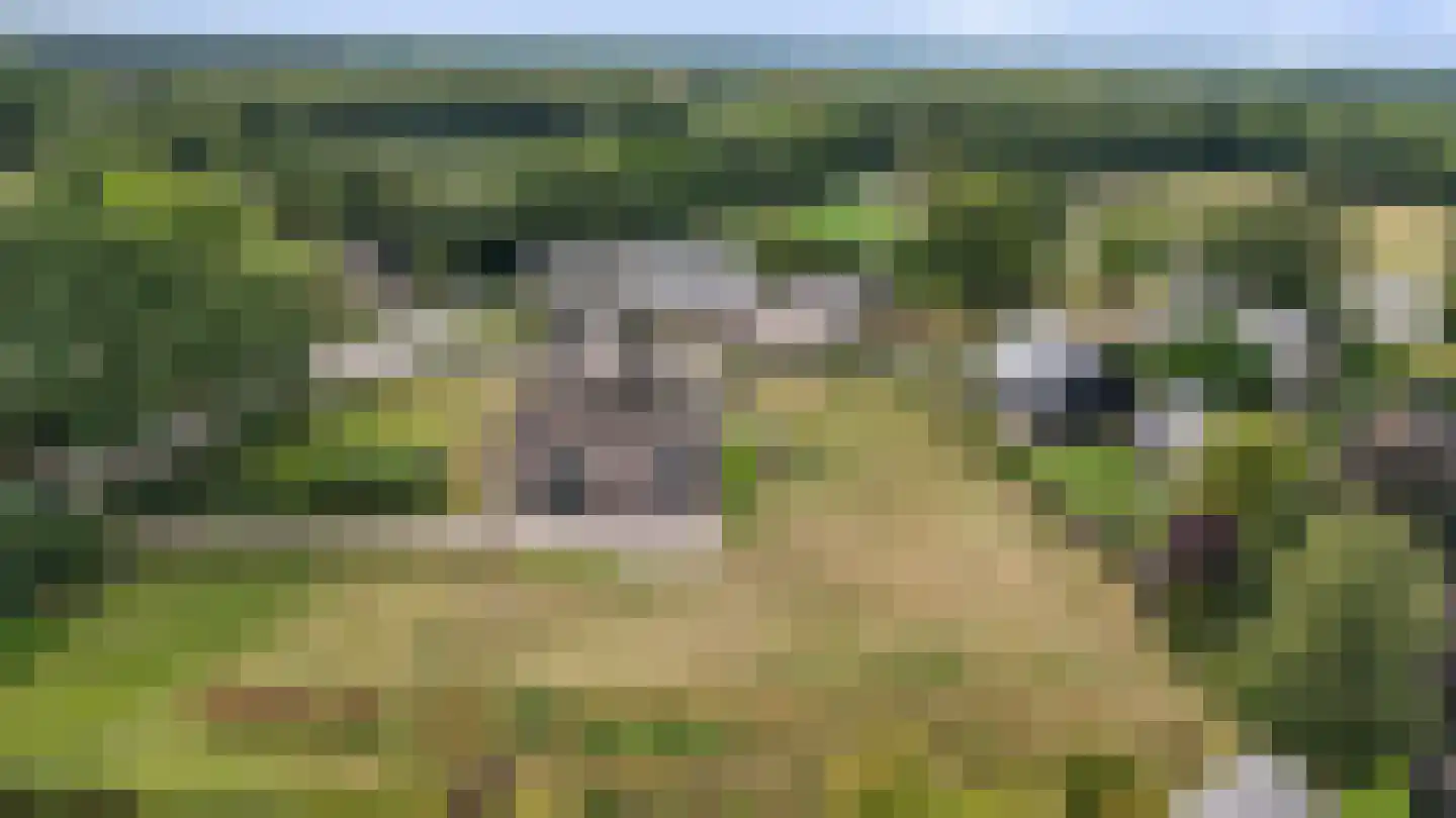 Odoornerweg 2 Valthe thumbnail 68