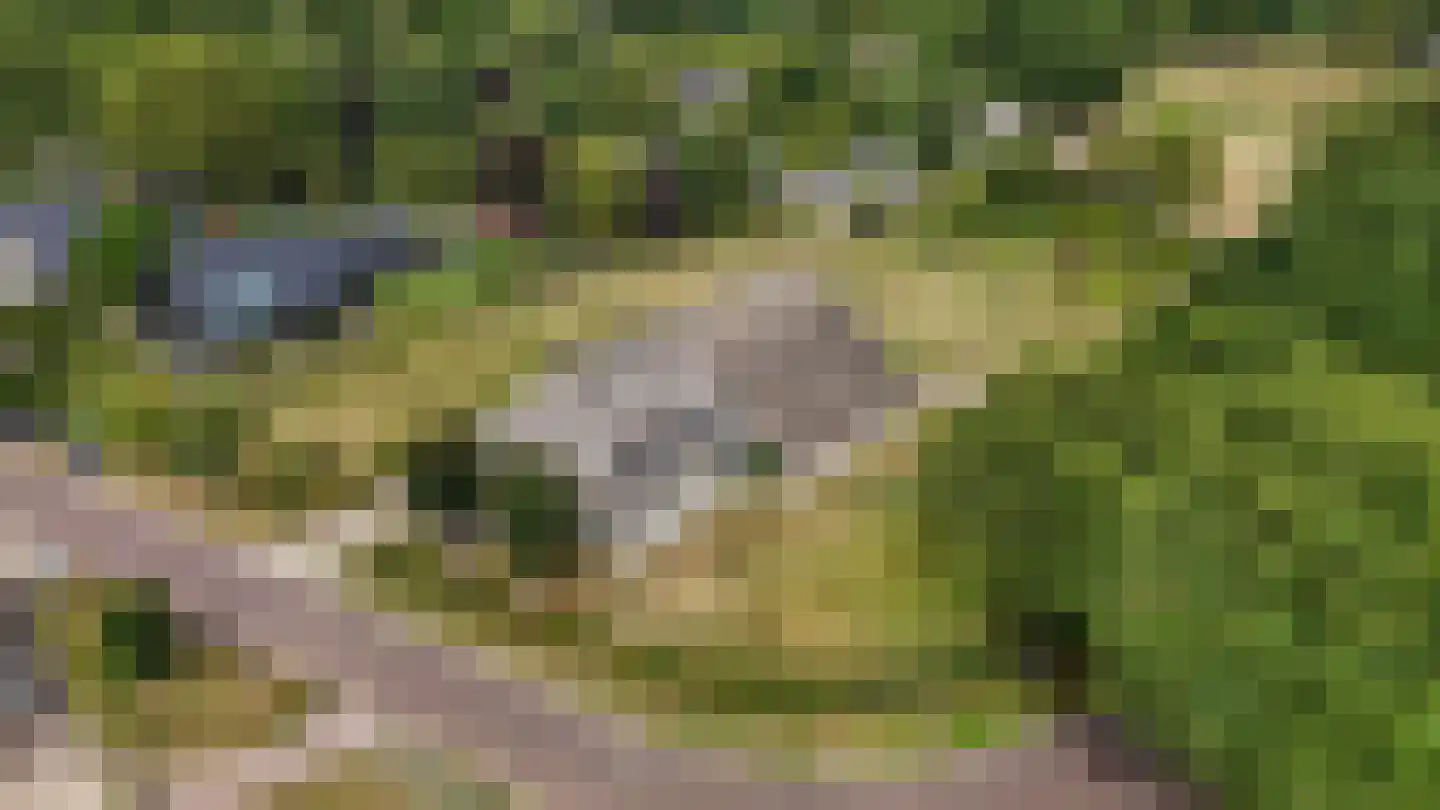 Odoornerweg 2 Valthe thumbnail 69