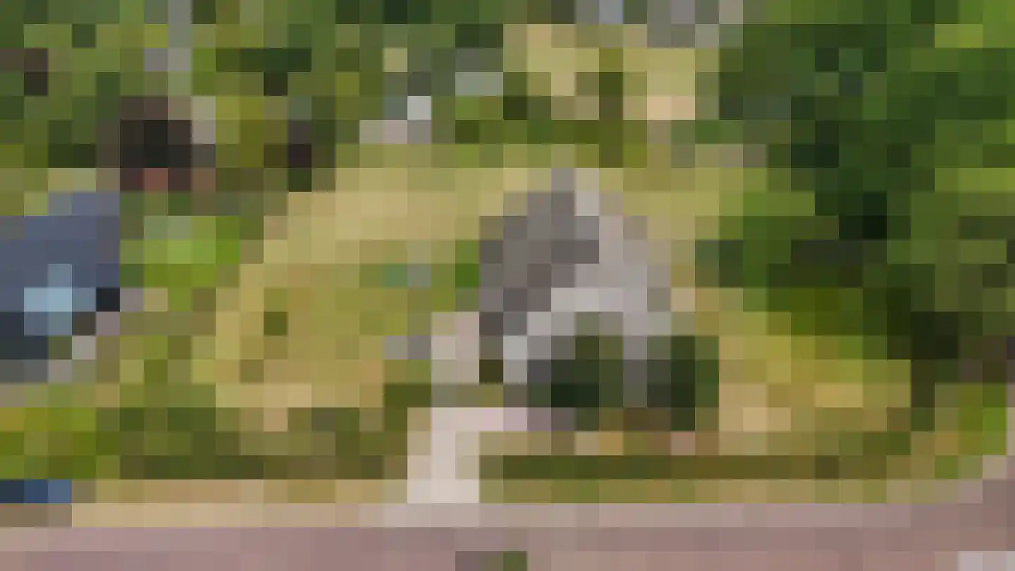 Odoornerweg 2 Valthe thumbnail 70