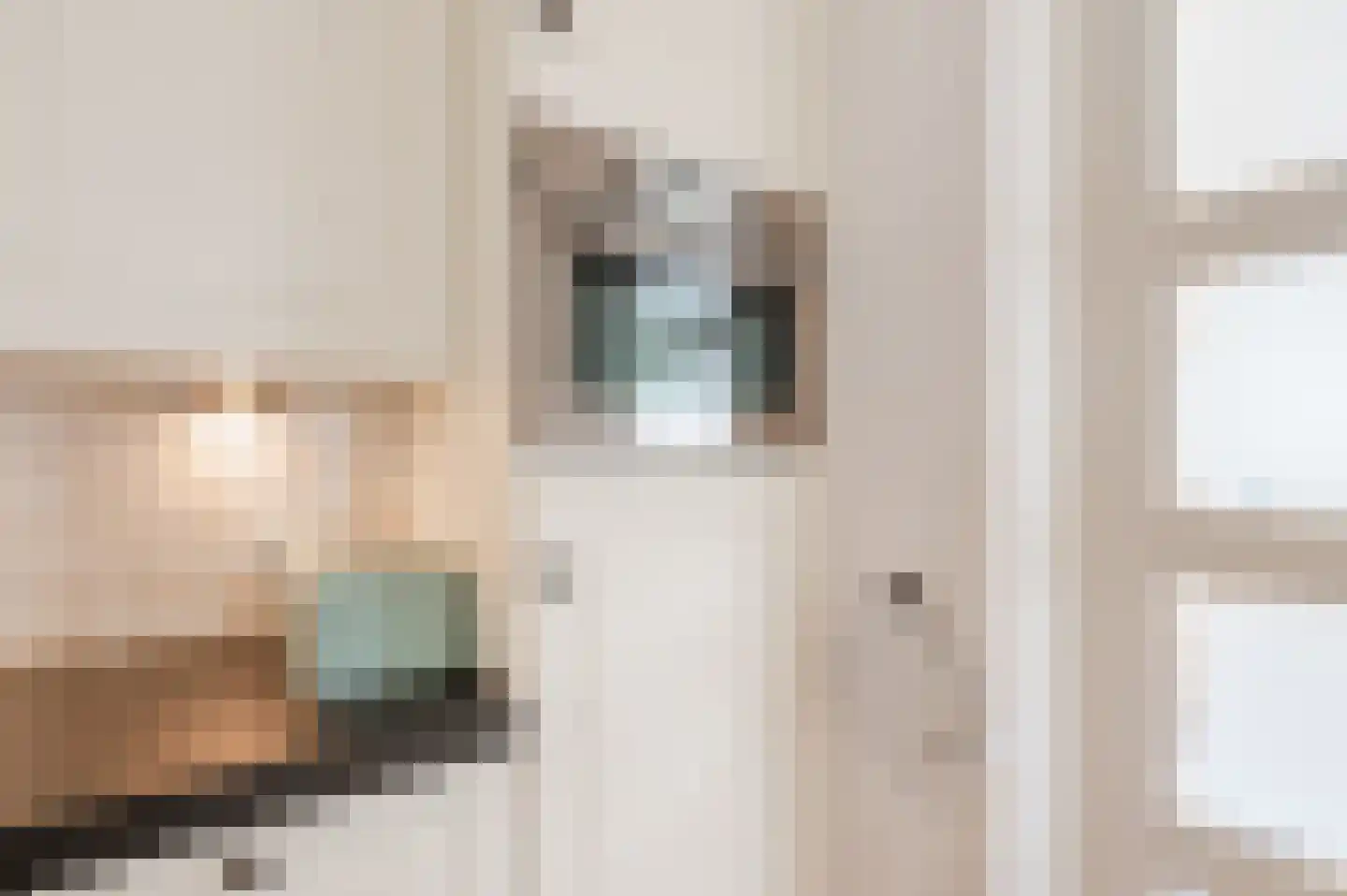 Odradastraat 25 Eersel thumbnail 15
