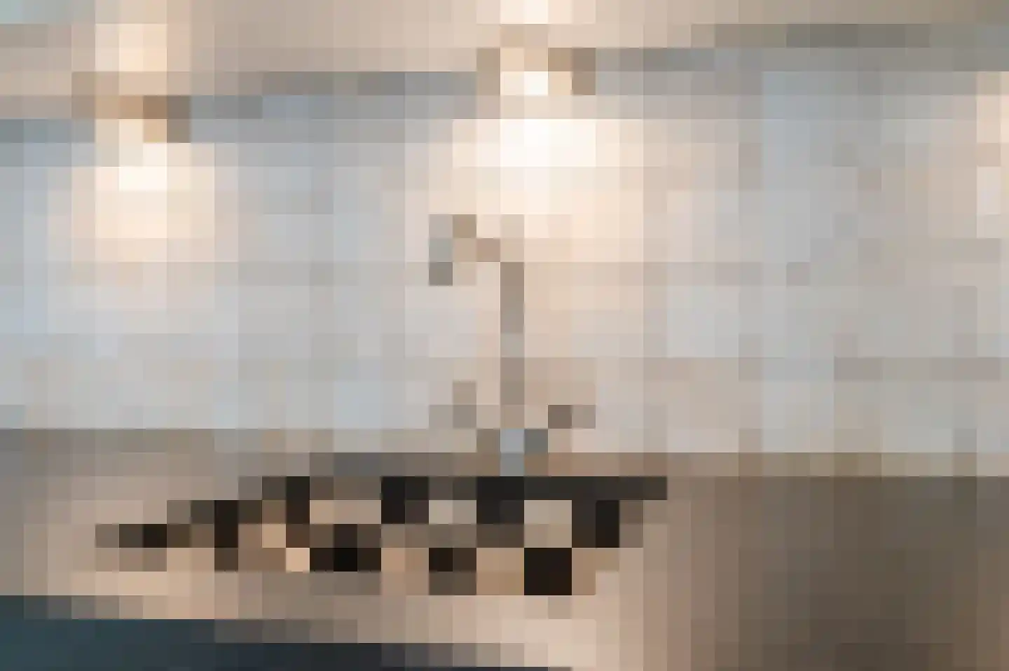 Odradastraat 25 Eersel thumbnail 16