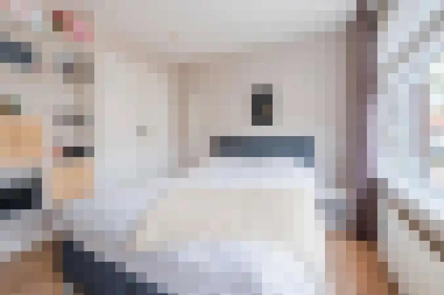 Odradastraat 25 Eersel thumbnail 25