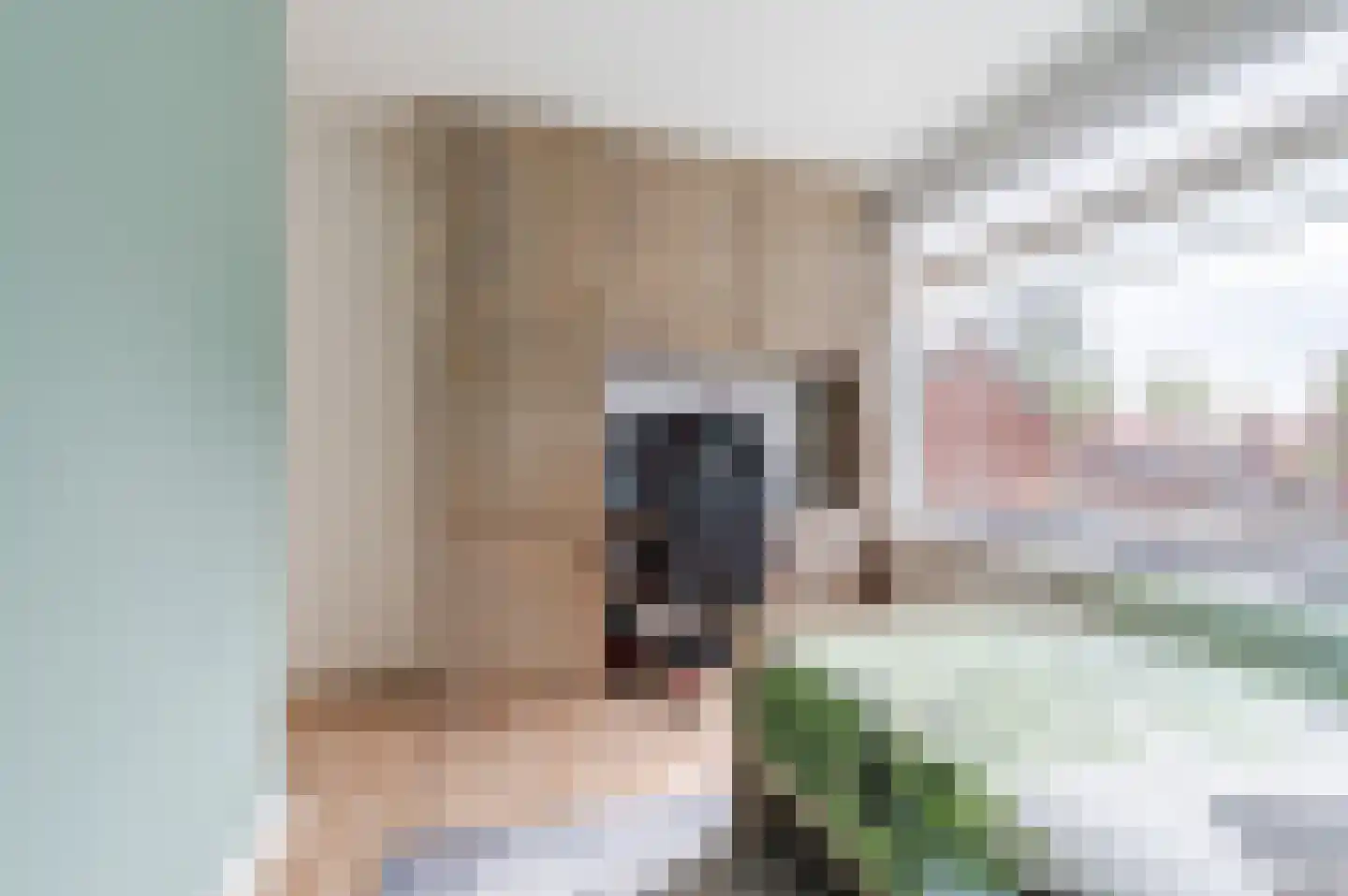 Odradastraat 25 Eersel thumbnail 30