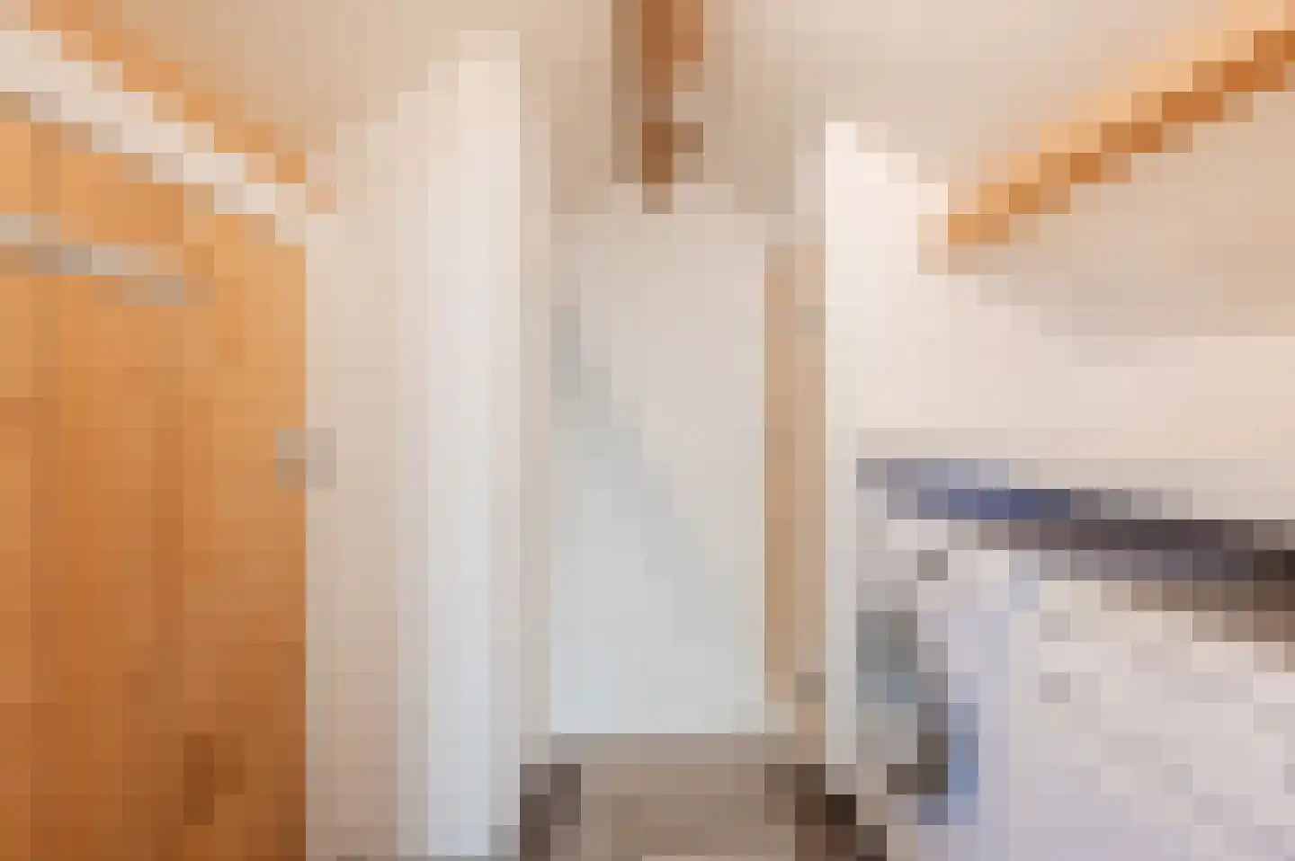 Odradastraat 25 Eersel thumbnail 40