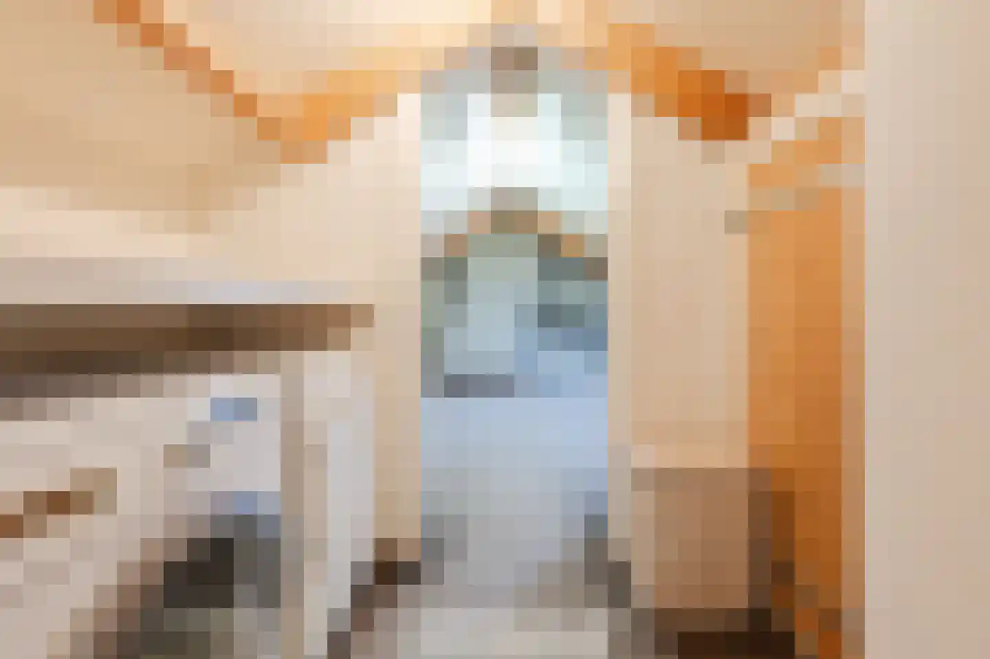 Odradastraat 25 Eersel thumbnail 41