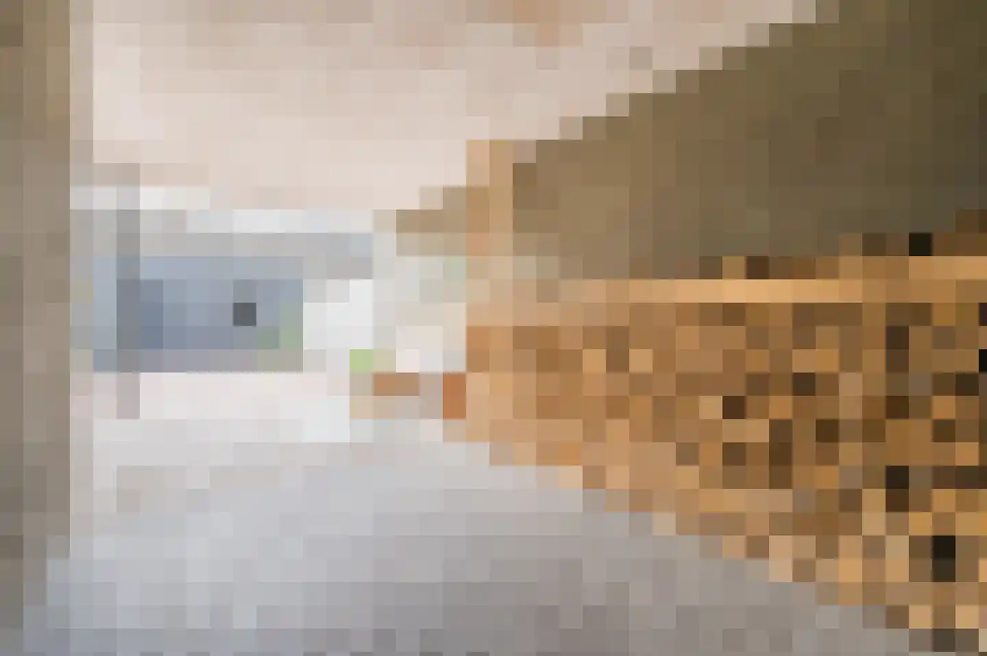 Odradastraat 25 Eersel thumbnail 44