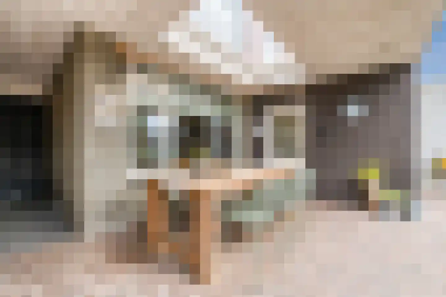 Odradastraat 25 Eersel thumbnail 46