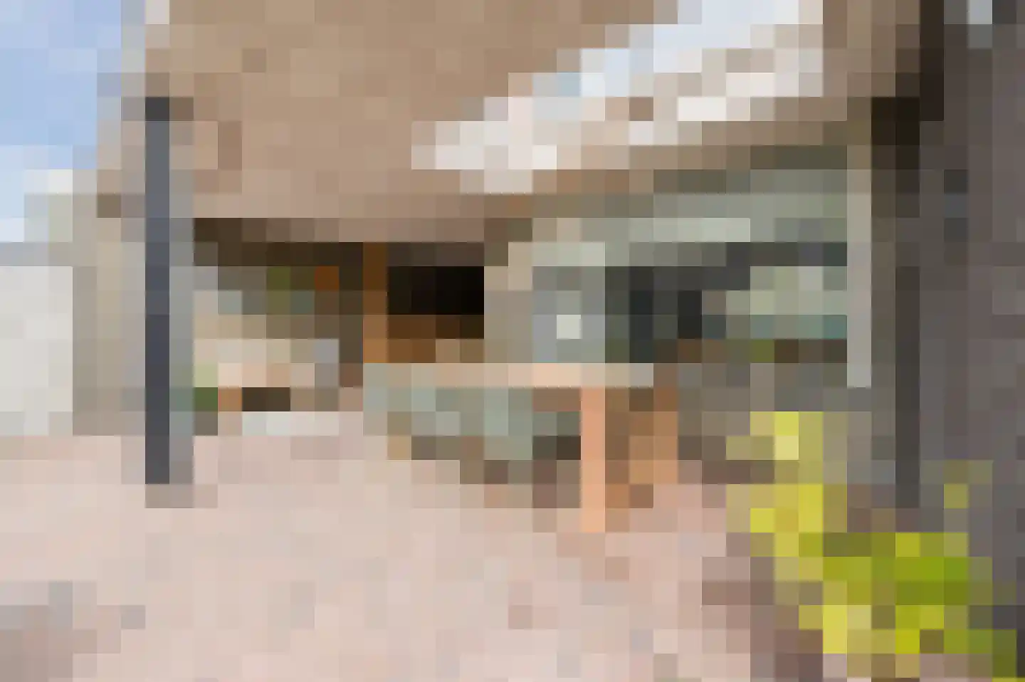 Odradastraat 25 Eersel thumbnail 48