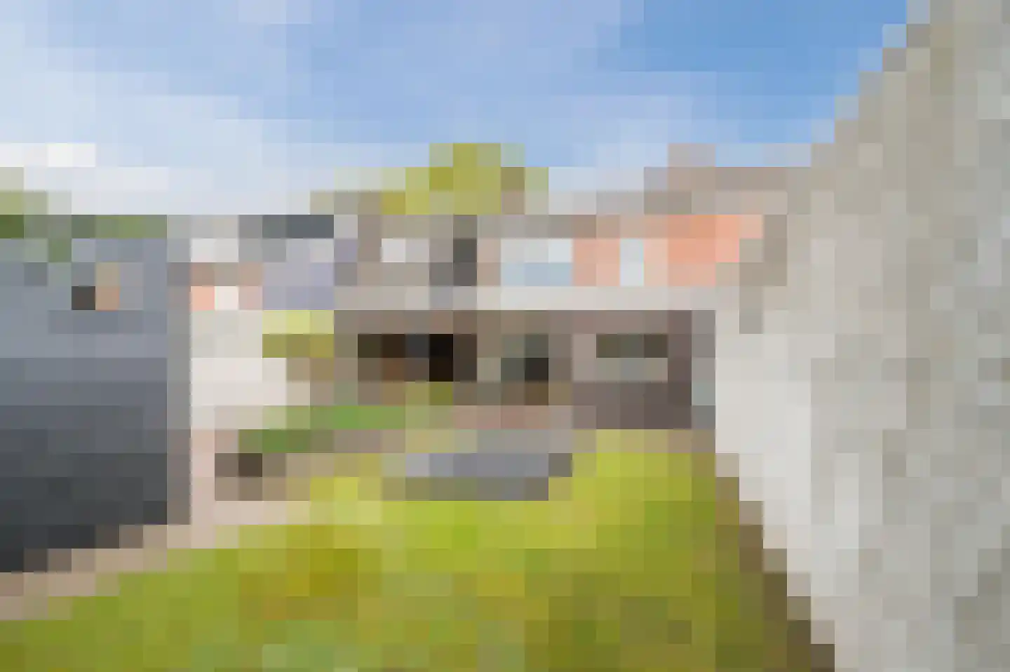 Odradastraat 25 Eersel thumbnail 53