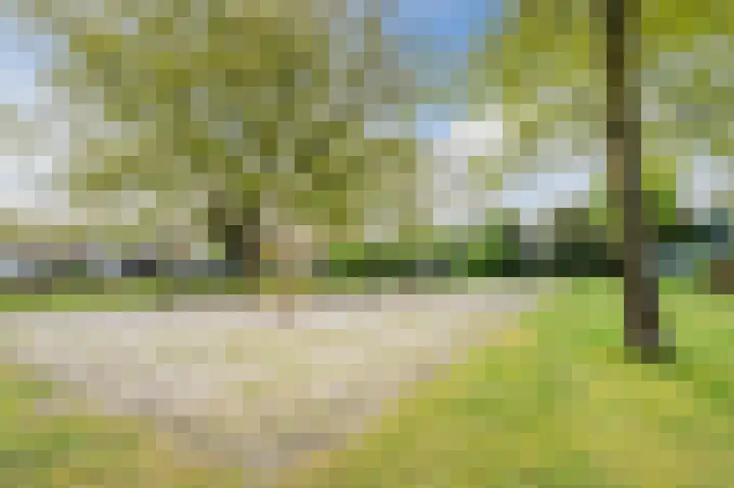 Odradastraat 25 Eersel thumbnail 56