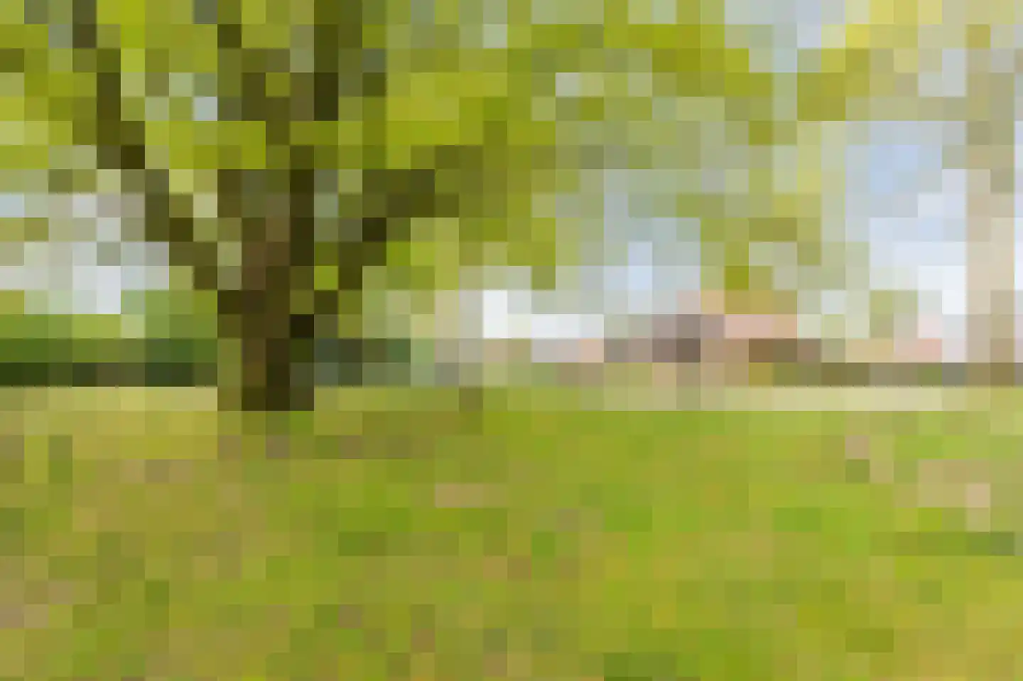 Odradastraat 25 Eersel thumbnail 58