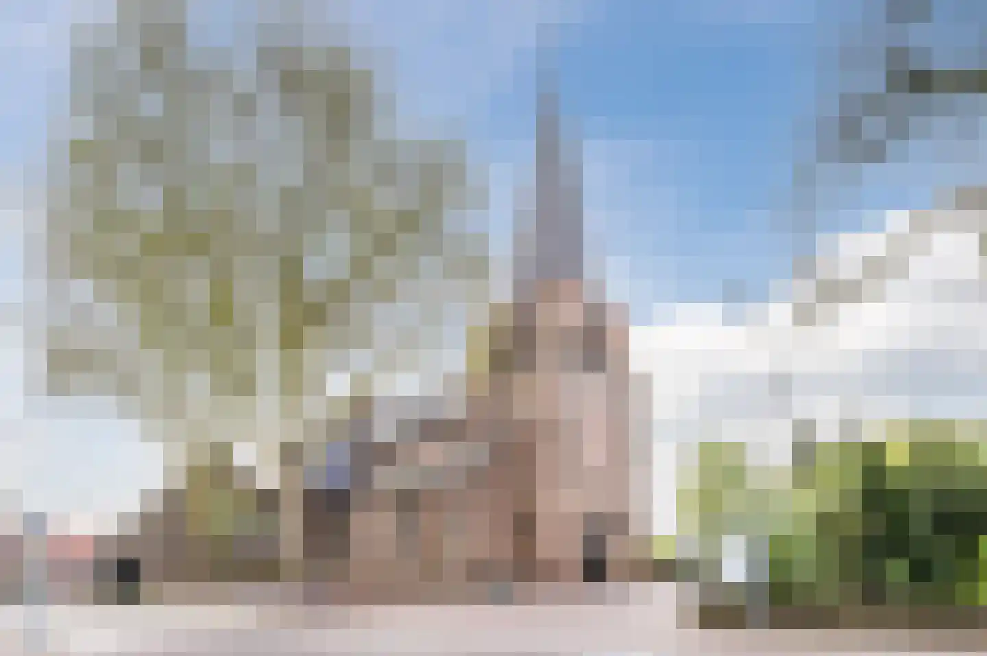Odradastraat 25 Eersel thumbnail 59