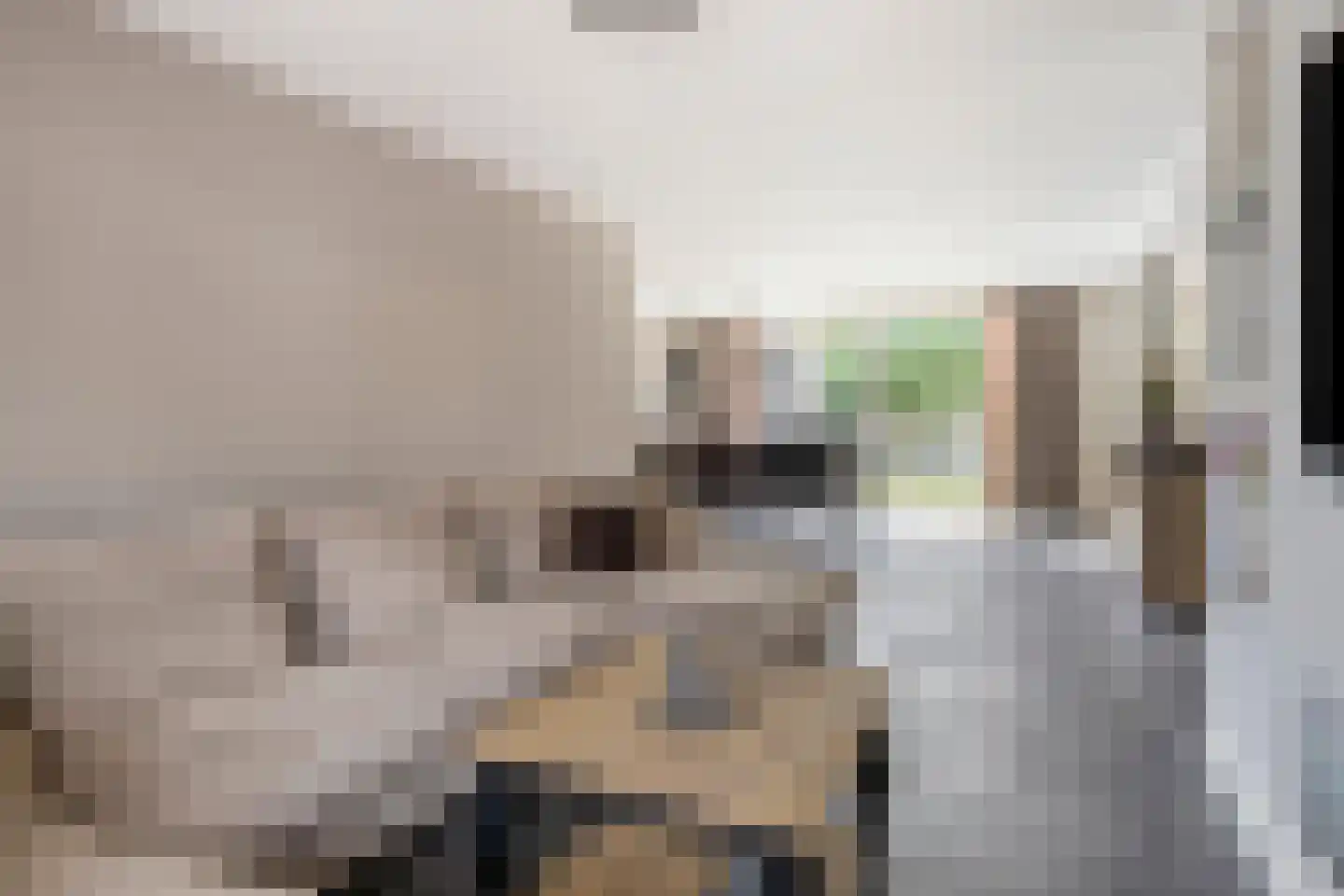Odradastraat 59 Eersel thumbnail 13