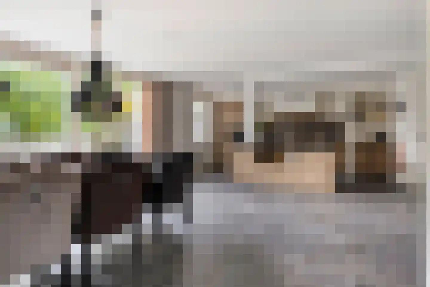 Odradastraat 59 Eersel thumbnail 23