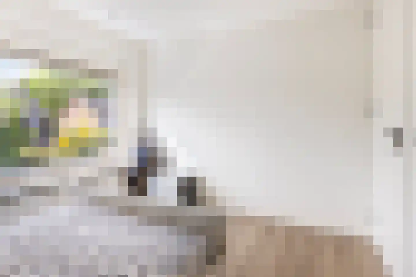Odradastraat 59 Eersel thumbnail 34