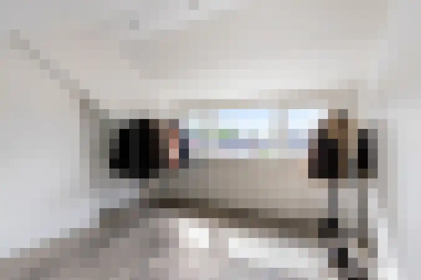Odradastraat 59 Eersel thumbnail 42