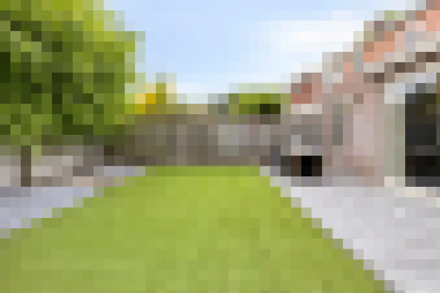Odradastraat 59 Eersel thumbnail 45