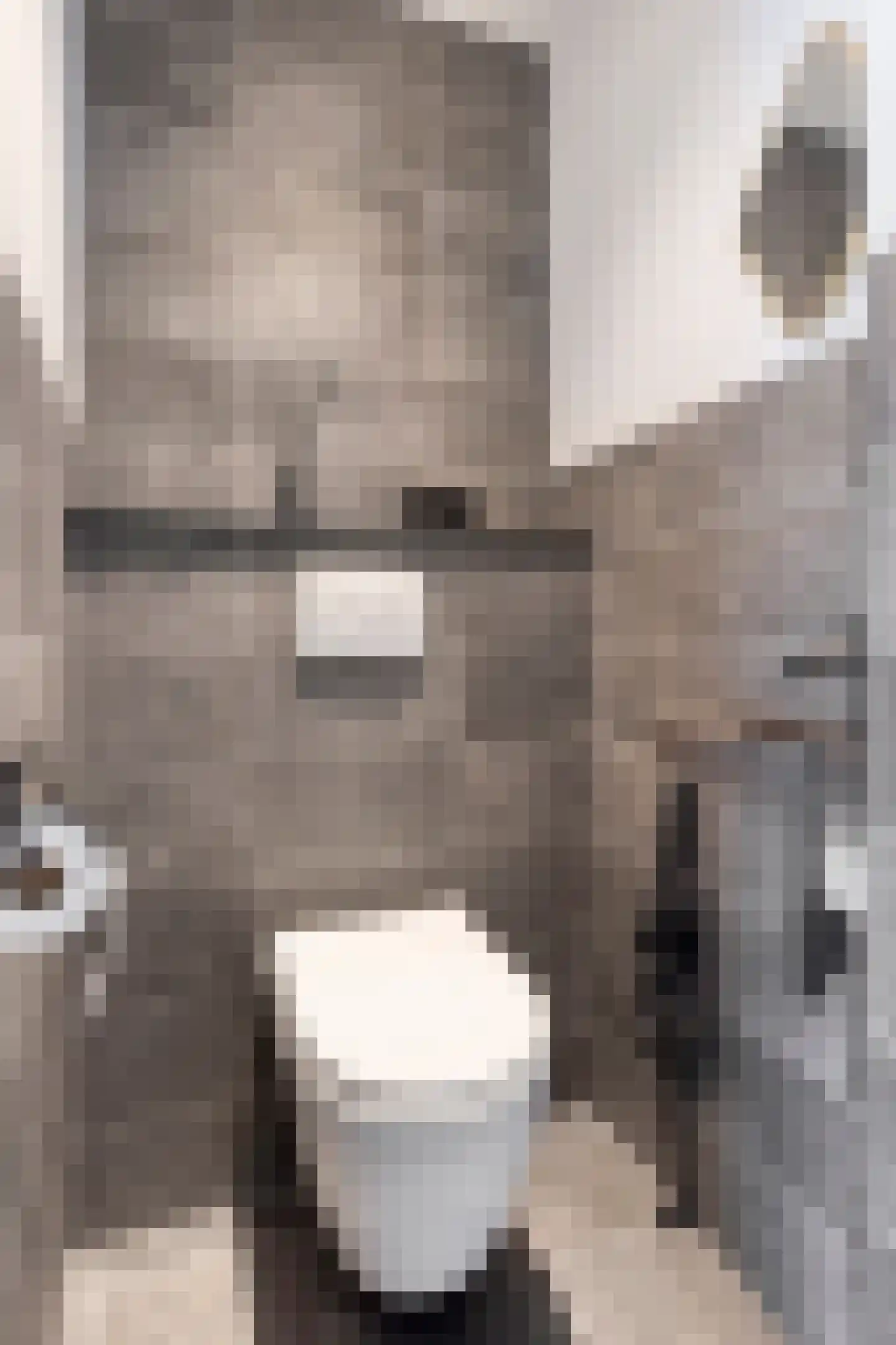 Odradastraat 59 Eersel thumbnail 8