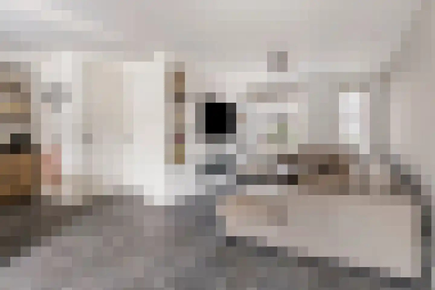 Odradastraat 59 Eersel thumbnail 9