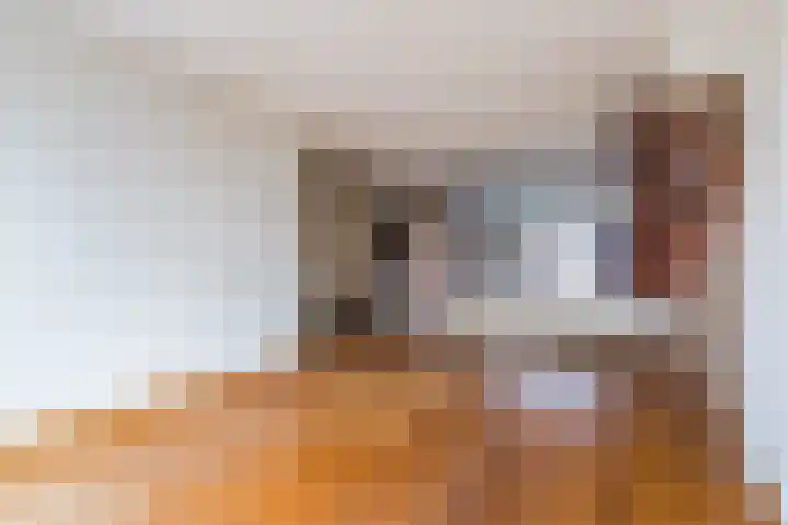 Odradastraat 65 Eersel thumbnail 13
