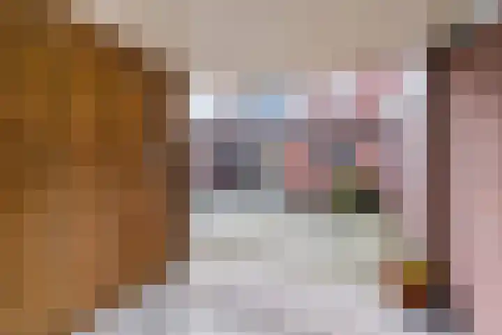 Odradastraat 65 Eersel thumbnail 39
